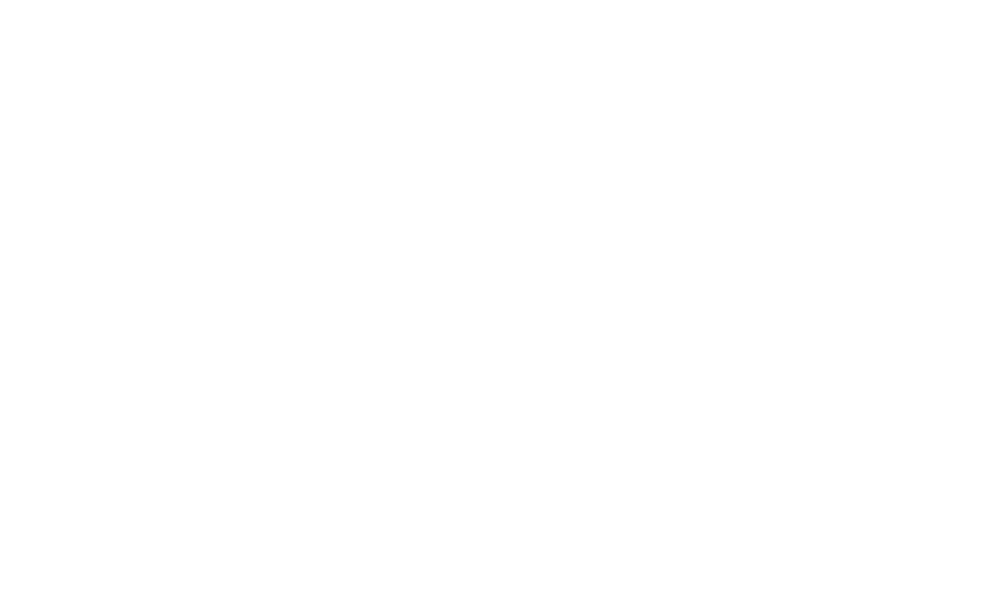 Hyundai logo white