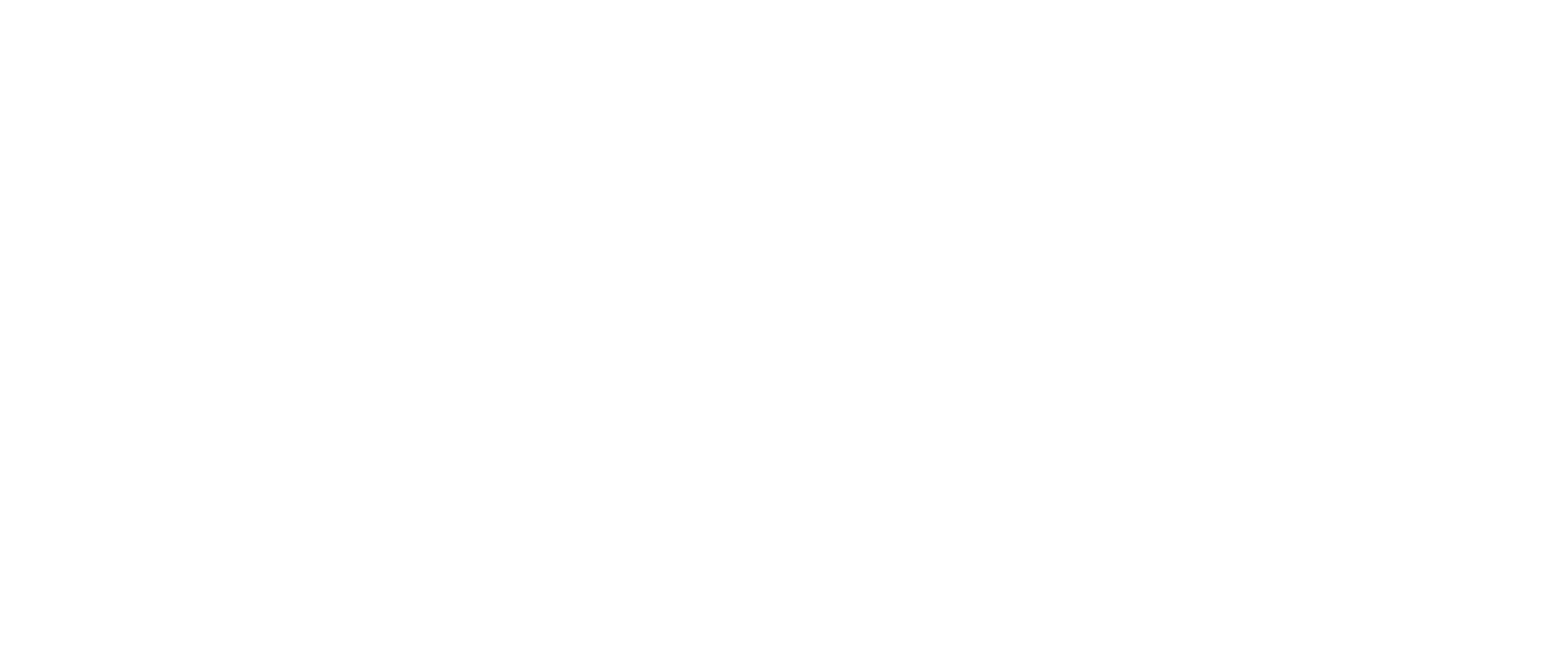 Logo blanc de DNG