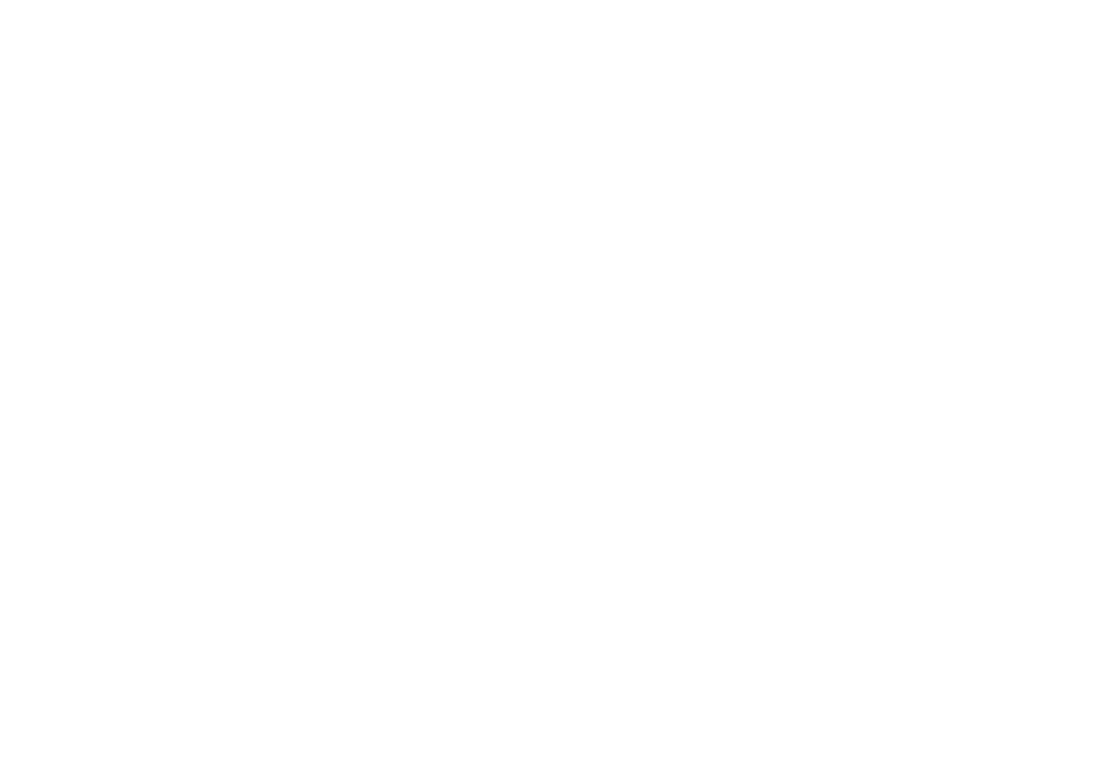 BASParts&Tyres_logo_staand_RGB_White