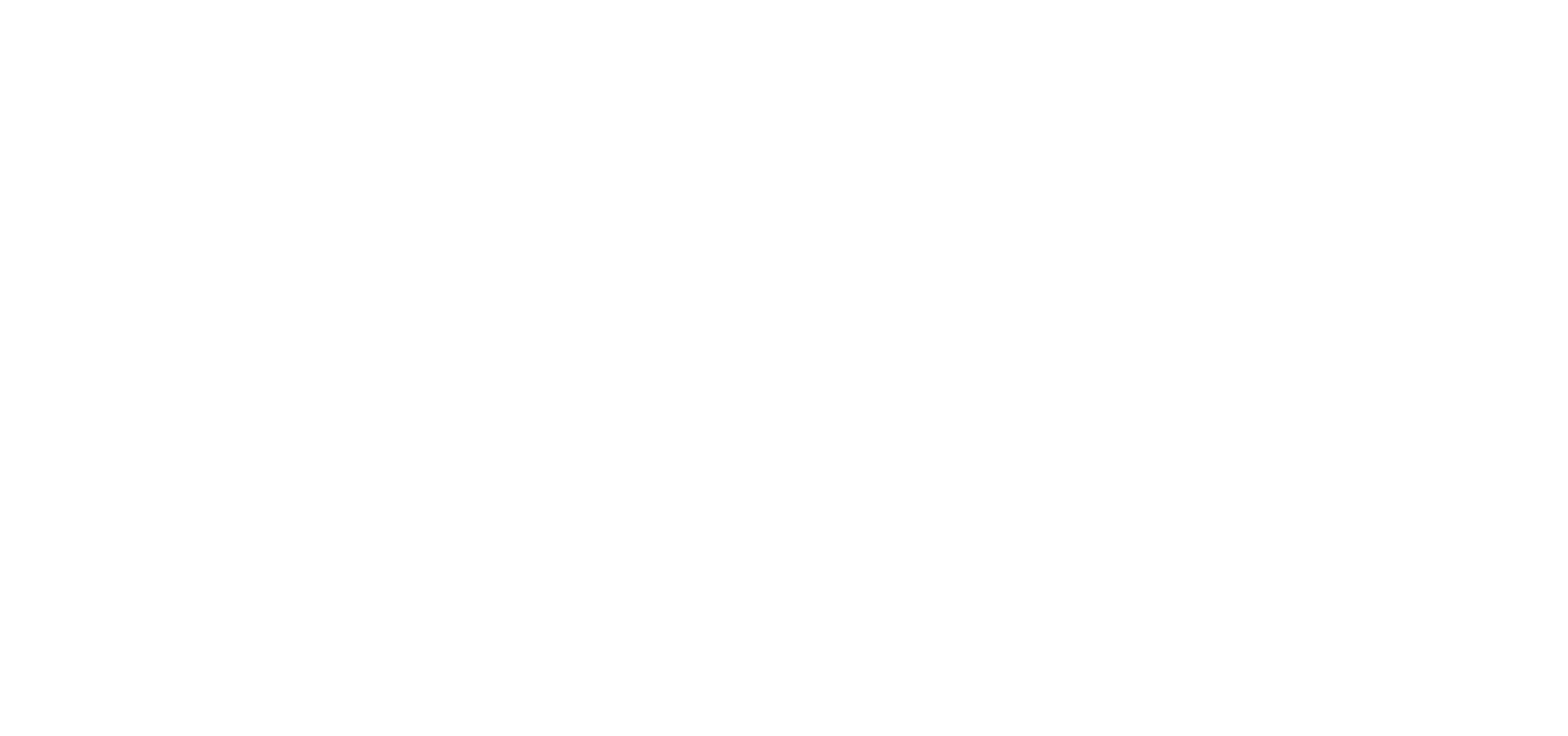 Braze_Primary_logo_WHITE (1)