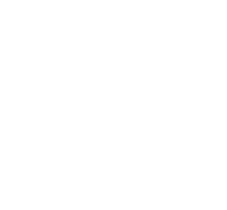 Den Haag logo WHT no space