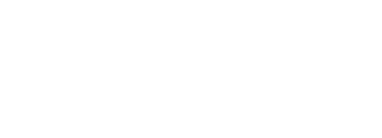 LOGO BIANCO UFFICIALE