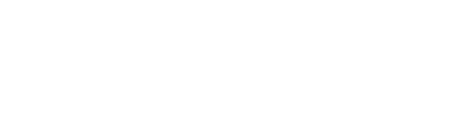 Skinny - MBUSA Logo