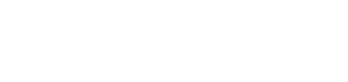 Snowflake logo white