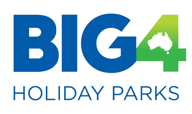 logo-big4-removebg-preview